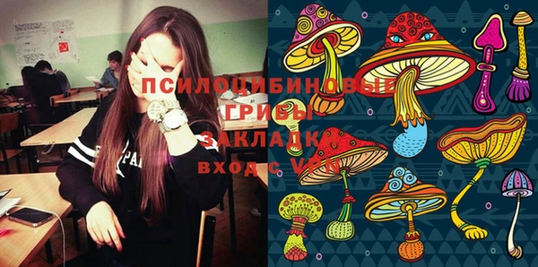 сатива Сосновый Бор